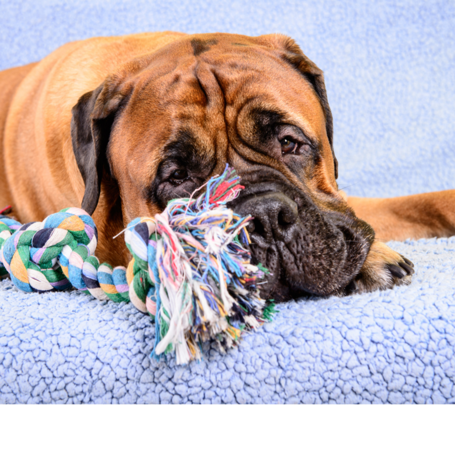 Design-ohne-Titel-6kTCeC2JziyE9U